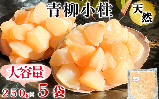 【先行予約】 岬だよりの＜貝専門店＞天然の青柳小柱　250g×5袋