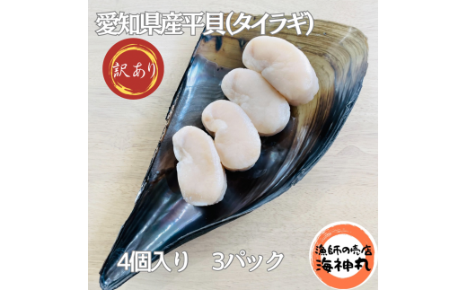 訳あり 平貝 （タイラギ） 4個入り(240～280g) 3パック 冷凍 海鮮  海産物 魚介 ごはん おかず おつまみ お酒 お供 おすすめ 人気 愛知県 南知多町