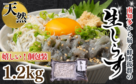 生しらす(お刺身) 1.2kg(100ｇ×12個) 岬だより