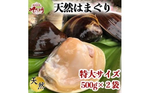 【先行予約】 岬だより 希少 天然はまぐり 特大サイズ 500g×2袋