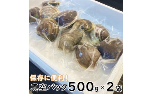 【先行予約】 岬だより 希少 天然はまぐり 特大サイズ 500g×2袋