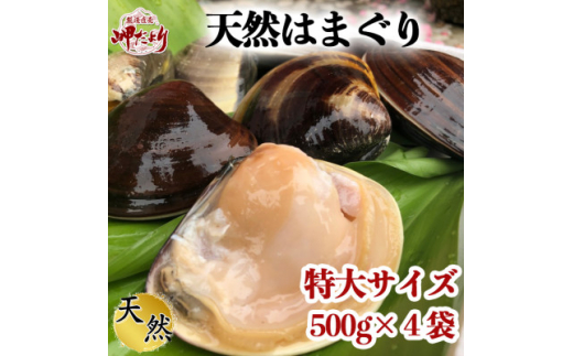 【先行予約】 岬だより 希少 天然はまぐり 特大サイズ 500g×4袋