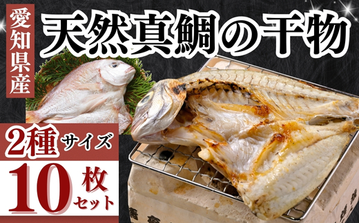 岬だよりの大人気 天然真鯛の干物　10枚セット