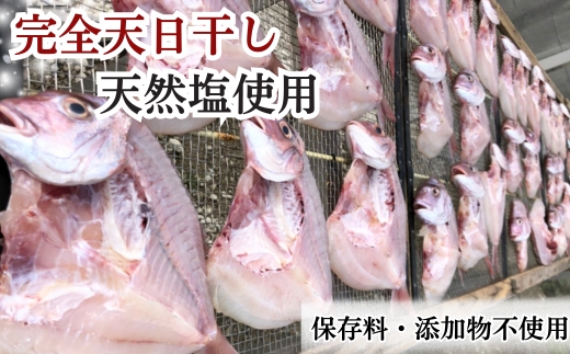 岬だよりの大人気 天然真鯛の干物　10枚セット