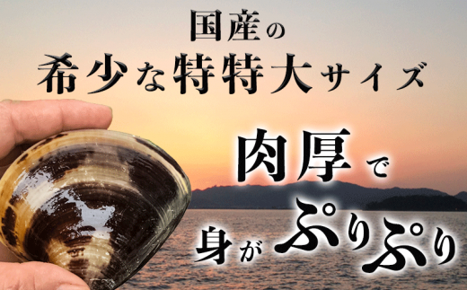 岬だよりの＜個包装＞大粒!天然はまぐり(特特大サイズ)170g前後×5個入り