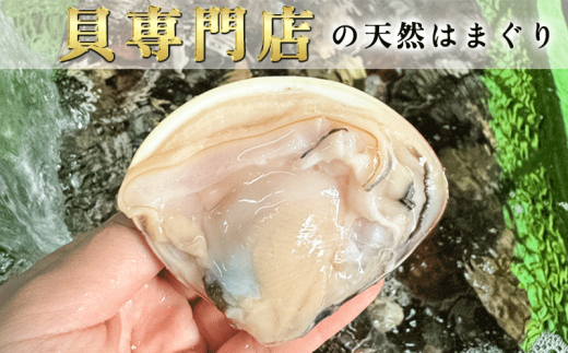 岬だよりの＜個包装＞大粒!天然はまぐり(特特大サイズ)170g前後×10個入り