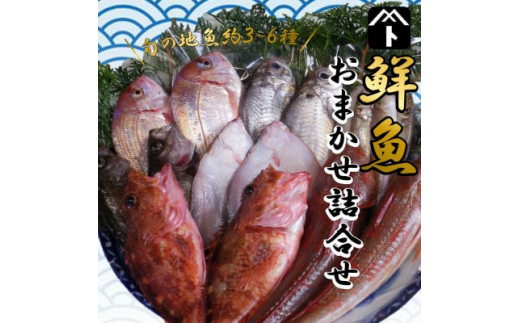 詰め合わせ 鮮魚 旬 3 ～ 6種 鯛 メバル カサゴ イカ カレイ ヒラメ 詰め合わせ セット 愛知県 南知多町 海鮮 海の幸 セット 魚介 新鮮 人気 おすすめ