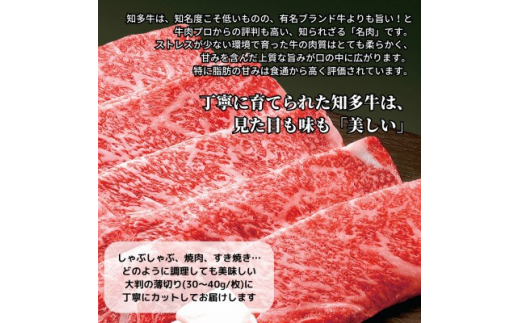 高級すき焼き肉グルメギフトチケット＜A3パネル付イベント景品(知多牛響600g)＞忘年会、二次会に!