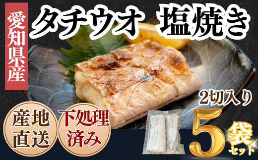 【南知多漁港直送】天然太刀魚 塩焼き用 2切×5袋セット〈下処理済・急速冷凍〉岬だより