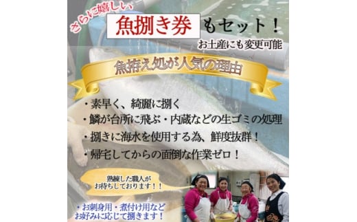 釣り船 乗船券 (50,000円分) 魚捌き利用券付き ルアー乗合・大物乗合・中物乗合・仕立船