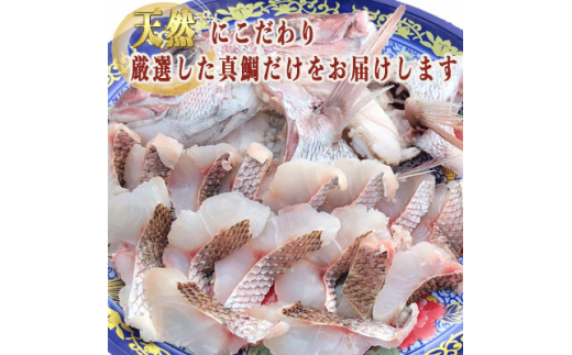 岬だよりの贅沢すぎる!鯛しゃぶセット＜波＞～出汁・ポン酢付き～