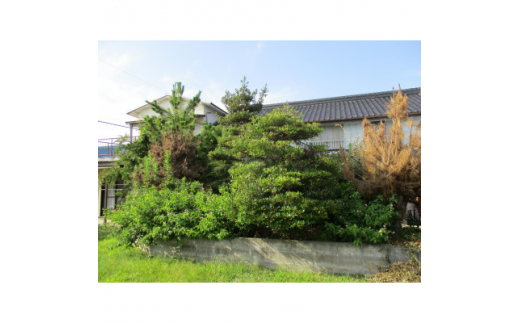 蜑ェ螳壻ス懈・ュ縲27,000蜀蠑輔″繧ッ繝シ繝昴Φ