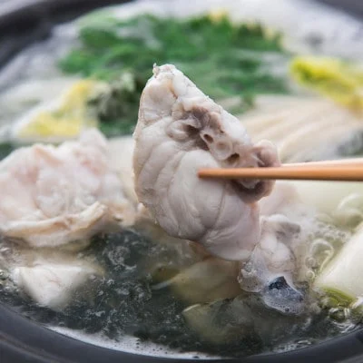 活とらふぐ ちり鍋 セット 1尾 (2～3人前) ＜南知多 料理宿監修＞ ふぐちり 愛知県 南知多町 人気 おすすめ