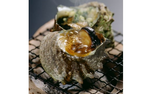 秀品サザエ1kg 刺身・生食可(CAS冷凍で新鮮)約7～13コ