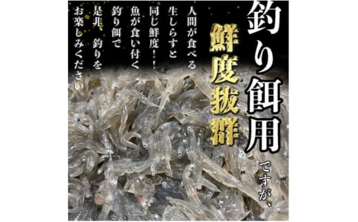 岬だよりの 生しらす釣り餌用 250g×1袋