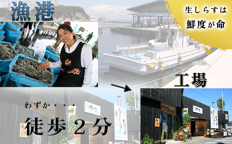 岬だよりの 生しらす釣り餌用 200g×6袋