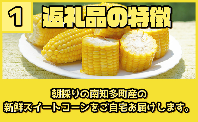 【先行予約 6月下旬から出荷】 スイートコーン 約5kg 10～14本 冷蔵 国産 とうもろこし 先行予約 数量限定 コーン 野菜 新鮮 焼き 蒸し 産地 直送 甘い 甘口 子ども 子供 小分け 種子 肥料 さわやか すっきり 糖度 黄色 人気 おすすめ 愛知県 南知多町