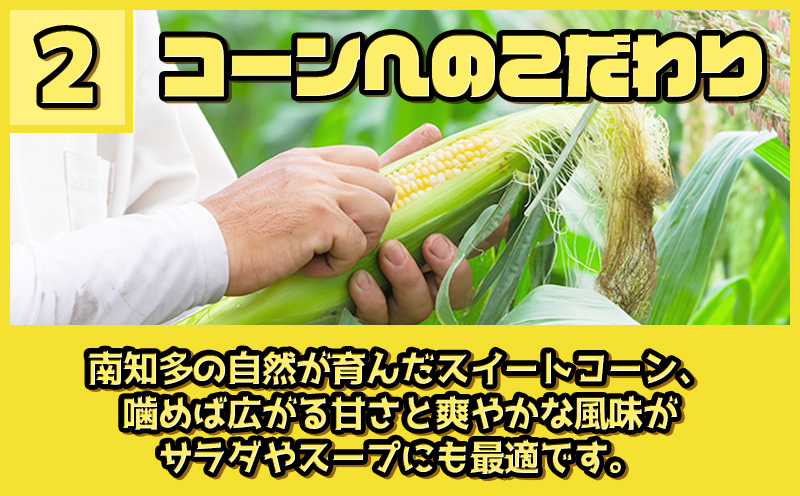 【先行予約 6月下旬から出荷】 スイートコーン 約5kg 10～14本 冷蔵 国産 とうもろこし 先行予約 数量限定 コーン 野菜 新鮮 焼き 蒸し 産地 直送 甘い 甘口 子ども 子供 小分け 種子 肥料 さわやか すっきり 糖度 黄色 人気 おすすめ 愛知県 南知多町