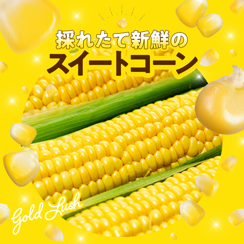 【先行予約 6月下旬から出荷】 スイートコーン 約5kg 10～14本 冷蔵 国産 とうもろこし 先行予約 数量限定 コーン 野菜 新鮮 焼き 蒸し 産地 直送 甘い 甘口 子ども 子供 小分け 種子 肥料 さわやか すっきり 糖度 黄色 人気 おすすめ 愛知県 南知多町