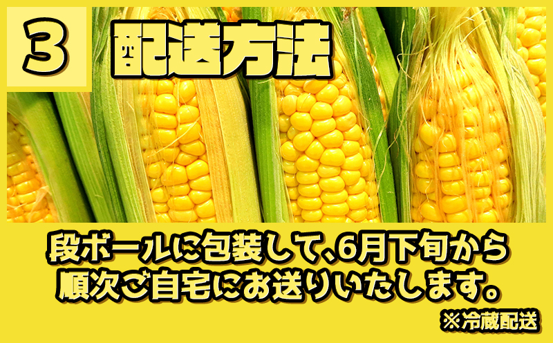 【先行予約 6月下旬から出荷】 スイートコーン 約5kg 10～14本 冷蔵 国産 とうもろこし 先行予約 数量限定 コーン 野菜 新鮮 焼き 蒸し 産地 直送 甘い 甘口 子ども 子供 小分け 種子 肥料 さわやか すっきり 糖度 黄色 人気 おすすめ 愛知県 南知多町