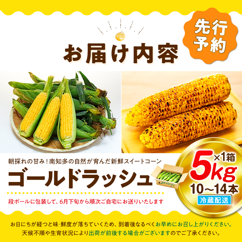 【先行予約 6月下旬から出荷】 スイートコーン 約5kg 10～14本 冷蔵 国産 とうもろこし 先行予約 数量限定 コーン 野菜 新鮮 焼き 蒸し 産地 直送 甘い 甘口 子ども 子供 小分け 種子 肥料 さわやか すっきり 糖度 黄色 人気 おすすめ 愛知県 南知多町