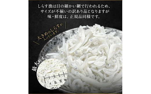 しらす 訳あり 400g(200g×2P) 小分け しらす干し シラス ごはん おかず チャーハン パスタ 料理 大きめ 産地直送 ランキング こだわり 鮮度 天塩 マル伊商店 愛知県 南知多町