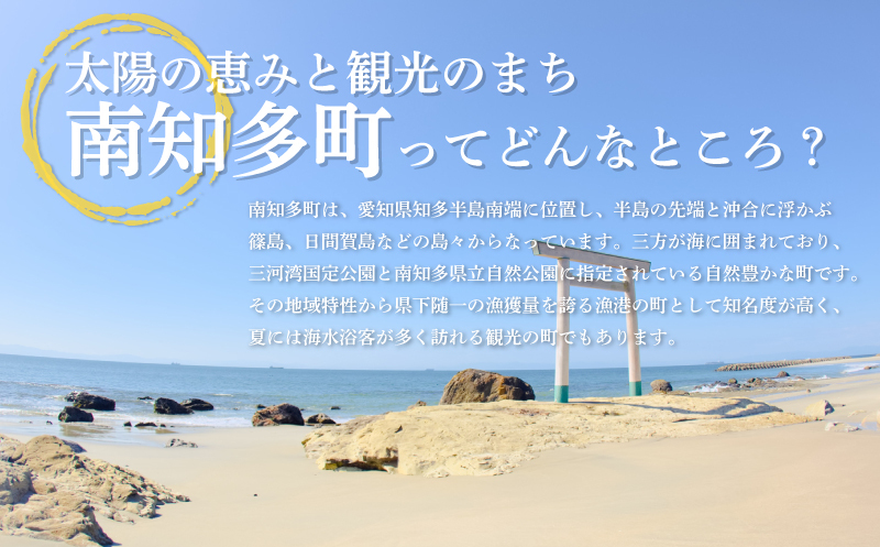 まるは食堂 エビフライ 10本 特大 肉 厚 ブラックタイガー 海鮮 海の幸 海老フライ えび フライ 揚げ物 惣菜 冷凍 まるは 人気 おすすめ  愛知県 南知多町