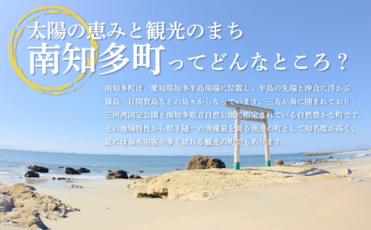 訳あり エビフライ10本セット1箱 冷凍 海老 えび 簡単 大きい 惣菜 お弁当 おかず おつまみ 揚げるだけ セット まるは食堂 愛知県 南知多町