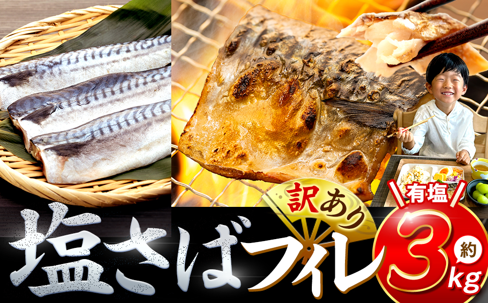 訳あり 塩サバ 約3kg 冷凍 鯖 塩 さば 魚 さかな 海鮮 海産物 おかず ご飯 おすすめ 人気 愛知県 南知多町 【配送不可地域：離島】