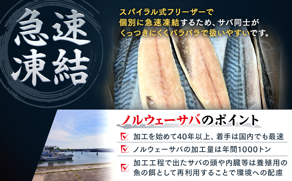 訳あり 塩サバ 約3kg 冷凍 鯖 塩 さば 魚 さかな 海鮮 海産物 おかず ご飯 おすすめ 人気 愛知県 南知多町 【配送不可地域：離島】