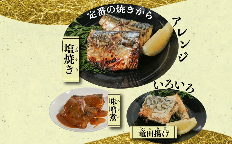 訳あり 塩サバ 切り身 約3kg(約40切前後入り) 冷凍 鯖 塩 さば 魚 さかな 海鮮 海産物 おかず サバ 鯖ご飯 おすすめ 人気 さば サバ  鯖 魚 魚介 海鮮 惣菜 塩サバ 塩鯖 焼き鯖 サバ 焼きさば 焼さば 減塩  塩 鯖 さば サバ おすすめ 人気 ふるさと納税 鯖 サバ さば ふるさと納税さば 愛知県南知多町 南知多 株式会社 山太 さば 鯖 人気 おすすめ 愛知県 南知多町