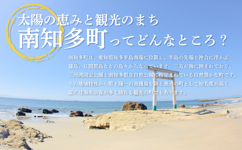 おまかせ 地魚 ひもの 詰合せ 南知多産 3～4種 冷凍 旬 鮮魚 干物 鯛 イワシ タチウオ 鰯 味醂 干し フグ サヨリ 河豚 鱧 みりん 醤油 タイ ハモ しょうゆ キス 太刀魚 季節 海鮮 新鮮 おかず 乾き物 つまみ 魚貝 魚 丸干し 魚介 詰め合わせ さかな つめあわせ 簡単 セット 人気 おすすめ 愛知県 南知多町