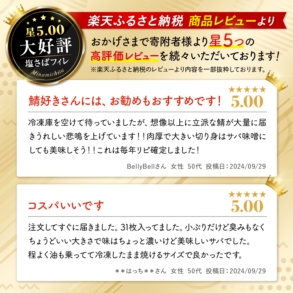 【定期便 毎月3回】 塩サバフィレ 計:9kg ※1回あたり3kg 冷凍 鯖 塩 さば 魚 さかな 海鮮 海産物 おかず サバ 鯖ご飯 おすすめ 人気 さば サバ 鯖 魚 魚介 海鮮 惣菜 塩サバ 塩鯖 焼き鯖 サバ 焼きさば 焼さば 減塩 塩 鯖 さば サバ おすすめ 人気 ふるさと納税 鯖 サバ さば ふるさと納税さば 南知多 さば 鯖 定期便 人気 おすすめ 愛知県 南知多町