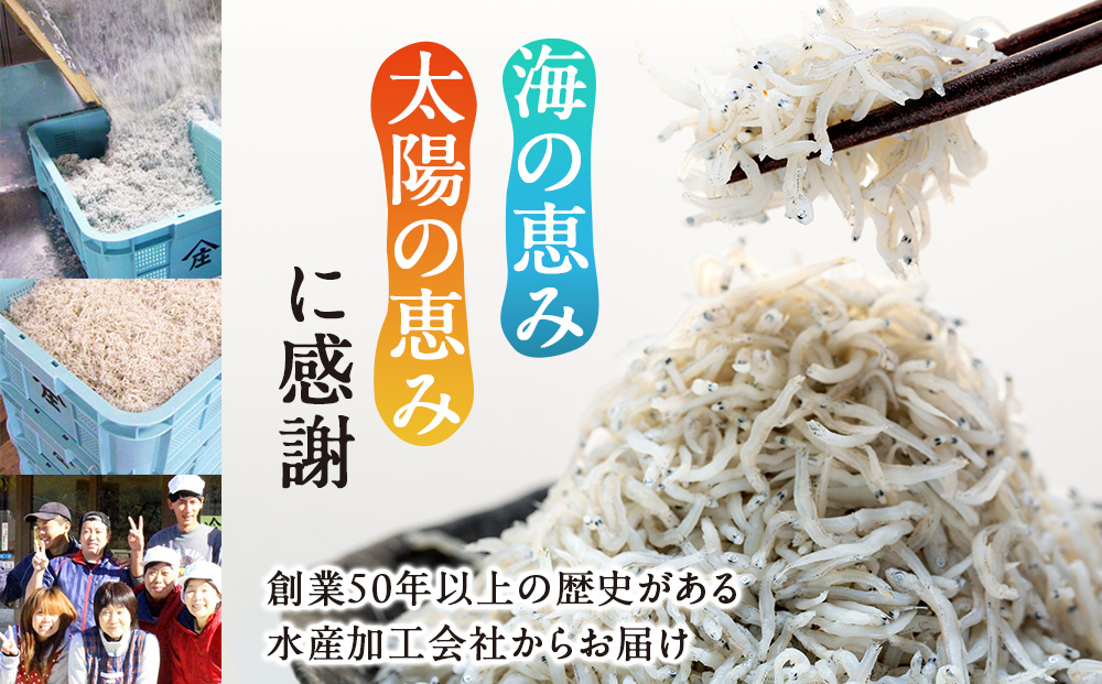 しらす 1kg ( 1kg × 1箱 ) 冷凍 極み しらす干し 減塩 釜揚げ ごはん 丼 パスタ チャーハン サラダ 魚 料理 山庄 愛知県 南知多町 師崎