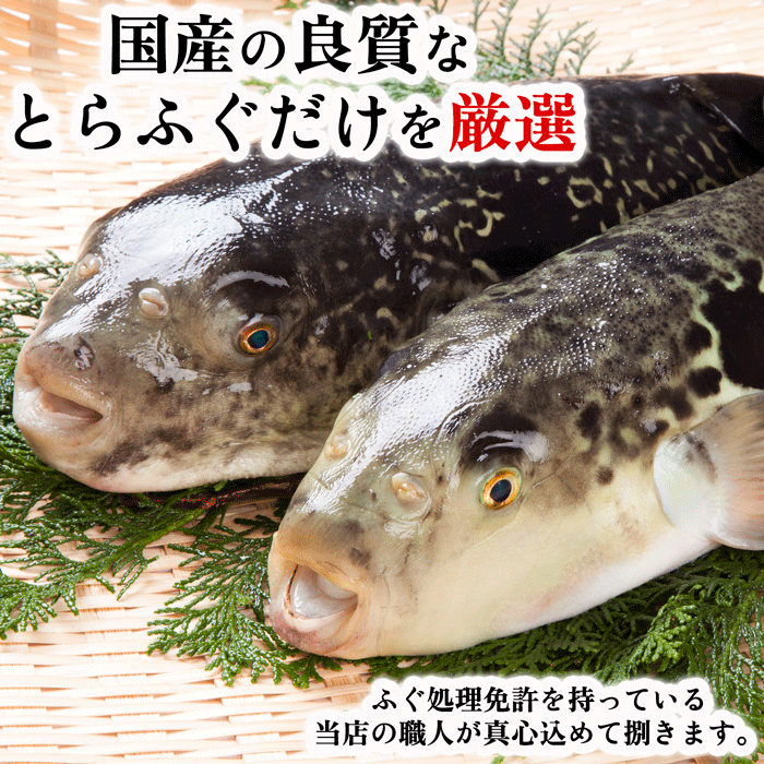 岬だよりの＜大満足＞とらふぐセット 大福