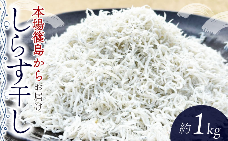 篠島 しらす干し 約1kg