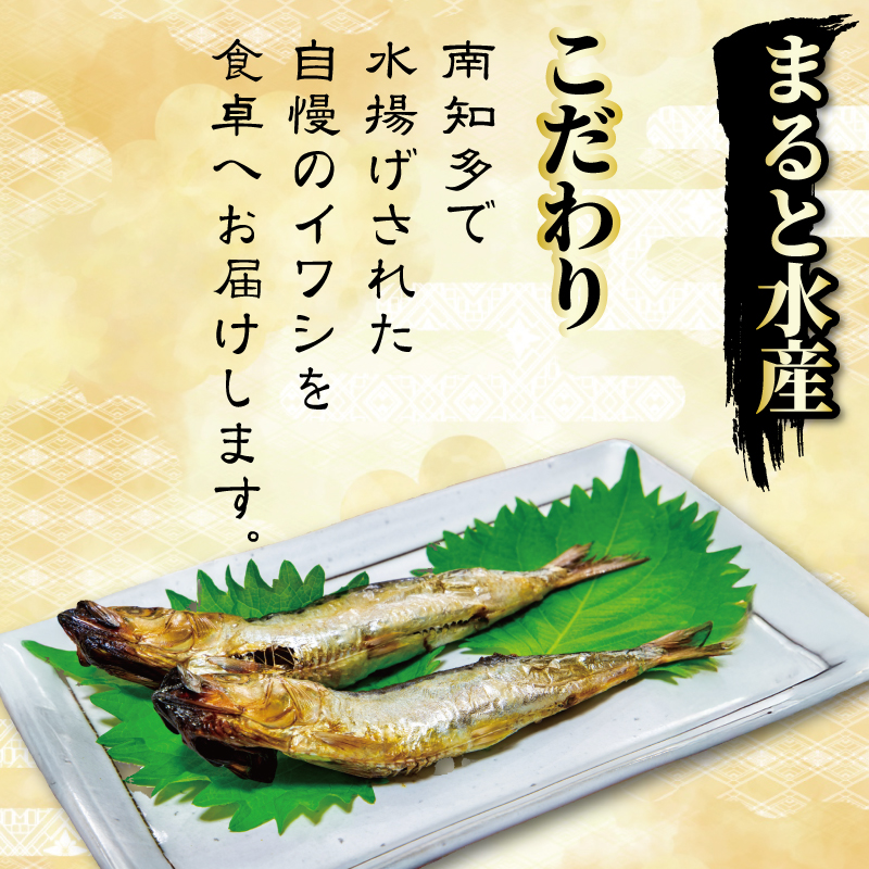 ãããã®äžžå¹²ã èš³ãã 2kg ã€ã¯ã· å¹²ç© ãŸããšæ°Žç£