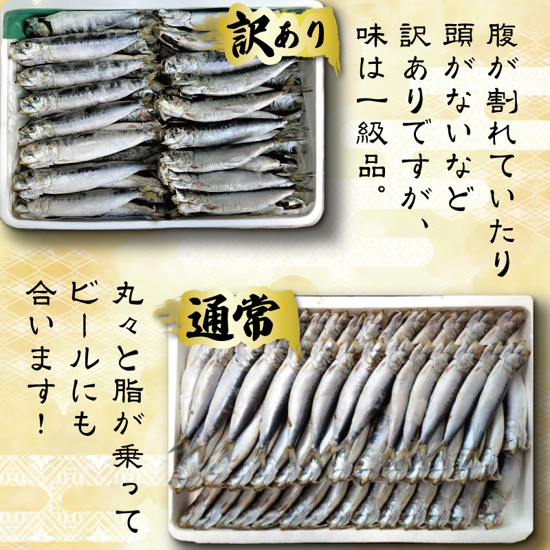 いわしの丸干し 訳あり 2kg イワシ 干物 まると水産