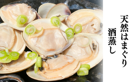 岬だより 希少 天然はまぐり 小サイズ 500g×4袋