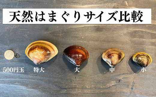 岬だより 希少 天然はまぐり 中サイズ 500g×4袋