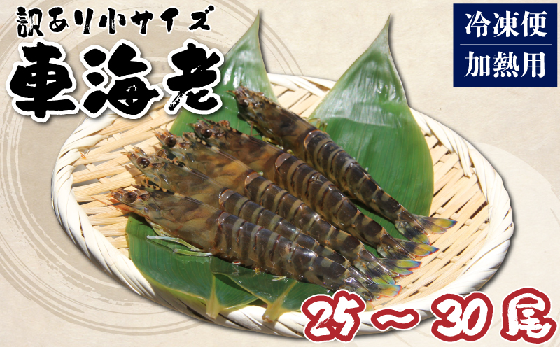 先行予約 訳あり 車海老 小サイズ 25～30尾 計約150g 加熱用 冷凍 規格外 大きさ不揃い