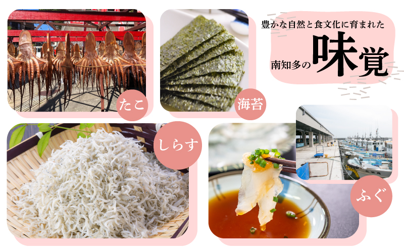 味付海苔 3本 島の香 篠島 味付けのり おつまみ 晩酌 肴 ご飯のお供 つまみ おかず おやつ人気 おすすめ 愛知県 南知多町