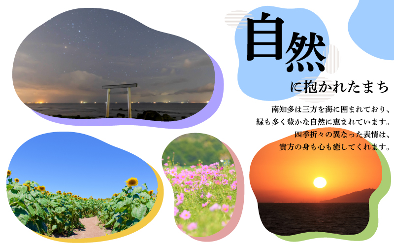 味付海苔 8本 島の香 篠島 味付けのり おつまみ 晩酌 肴 ご飯のお供 つまみ おかず おやつ人気 おすすめ 愛知県 南知多町