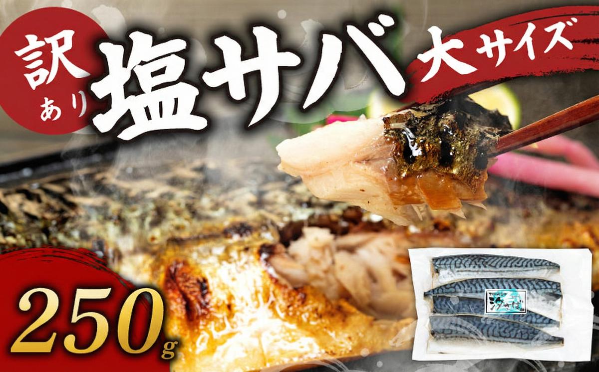 訳あり塩サバ フィレ250g