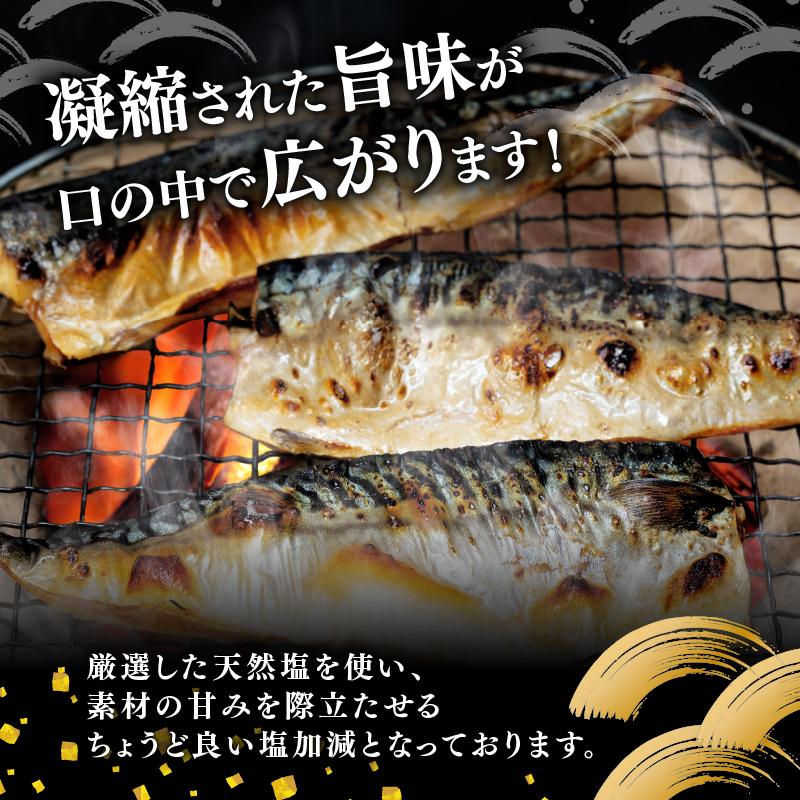 訳あり塩サバ フィレ250g