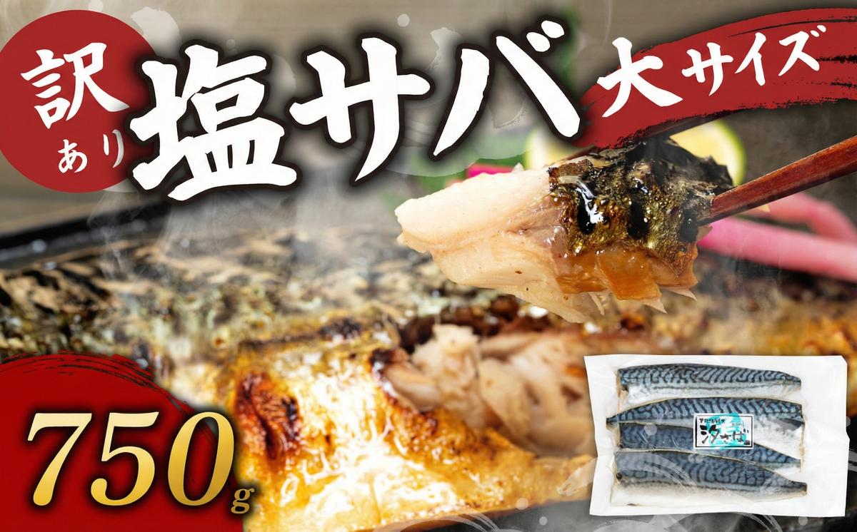 訳あり塩サバ フィレ750g