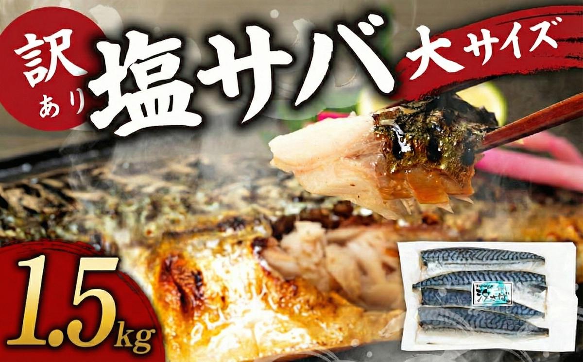 訳あり塩サバ フィレ1.5kg