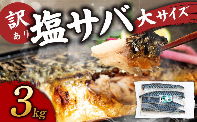訳あり塩サバ フィレ3kg