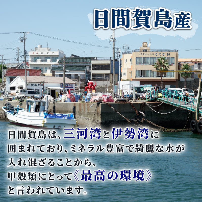 日間賀島産 ワタリガニ 2kg 雄 カニ わたりがに 渡り蟹 伊勢湾 日間賀島 新鮮 鮮度抜群 ふるさと納税カニ 美味しいカニ 美味いカニ 魚介類 魚 海鮮 夕食 ごはん 鮮度抜群 冷蔵 新鮮 惣菜 晩ごはん お米に合う