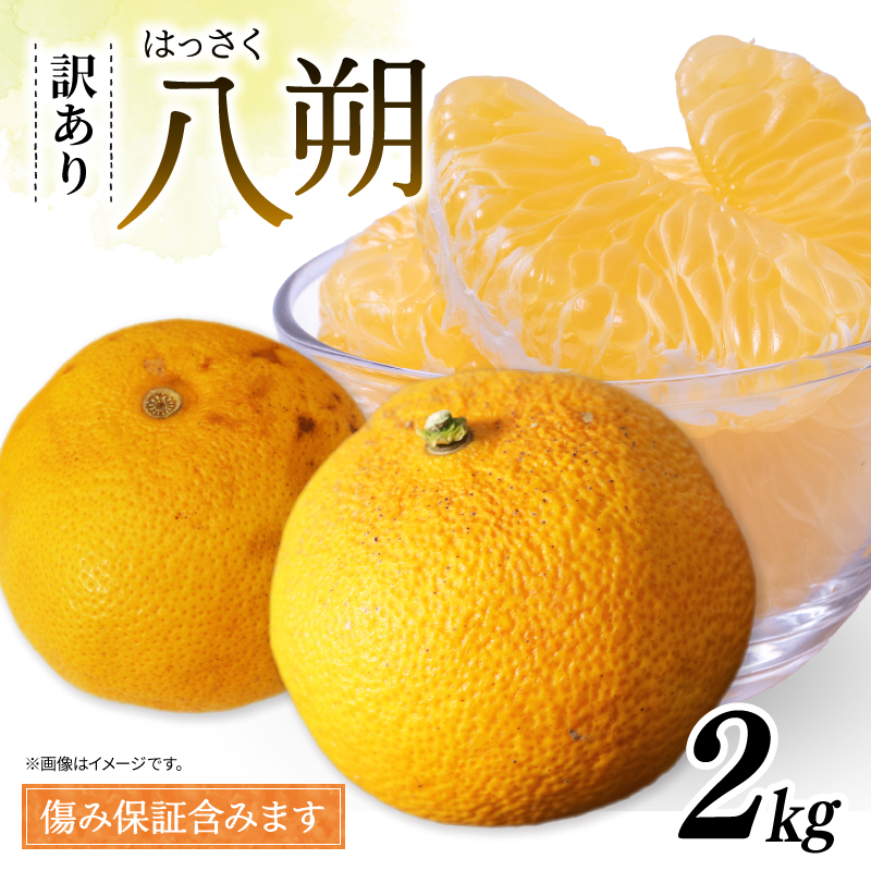 訳あり 八朔 約2kg   南知多町産  柑橘 果物 フルーツ デザート 人気 おすすめ 愛知県 南知多町 ふるさと納税 ふるさと納税柑橘 愛知県産 南知多町産